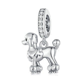 Charm