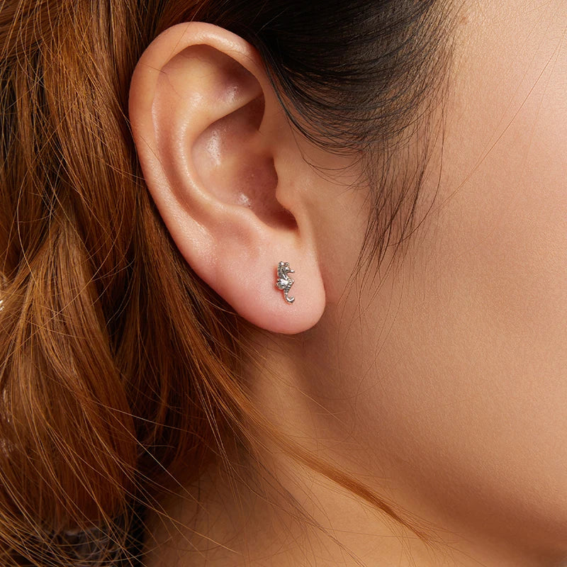Boucles d'Oreilles Puces Hippocampe en Argent 925