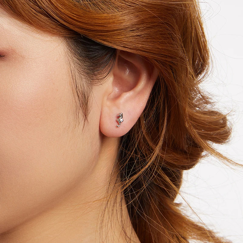 Boucles d'Oreilles Puces Hippocampe en Argent 925