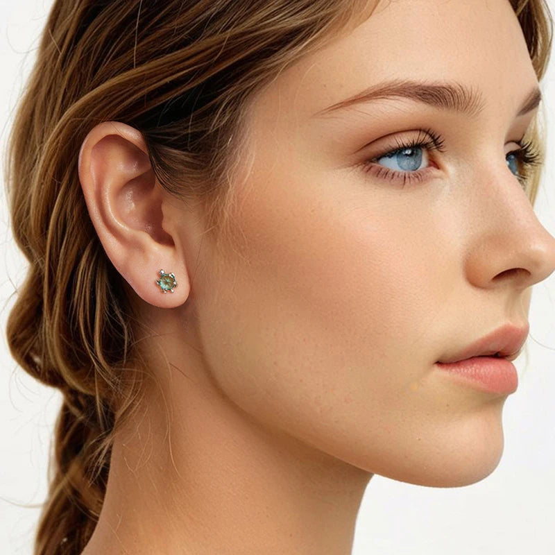 Boucles d'Oreilles Puces Tortue de Mer en Argent 925