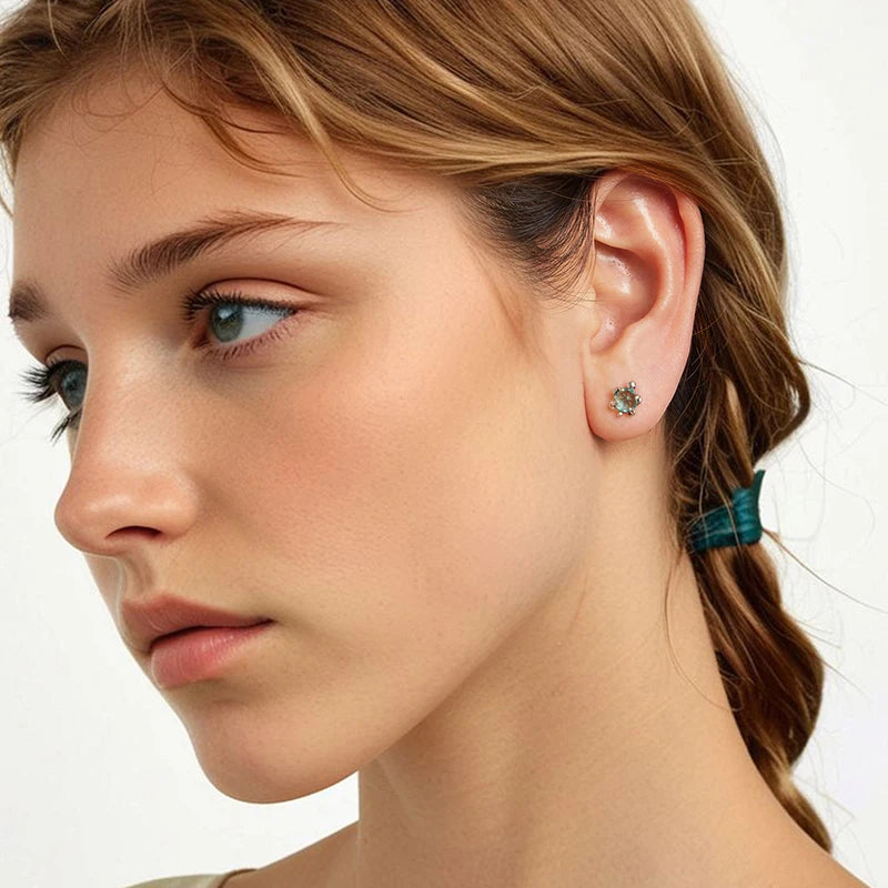 Boucles d'Oreilles Puces Tortue de Mer en Argent 925