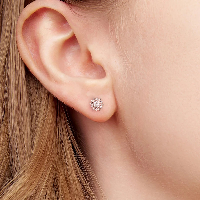 Boucles d'Oreilles Puces Fleur de Givre en Argent 925