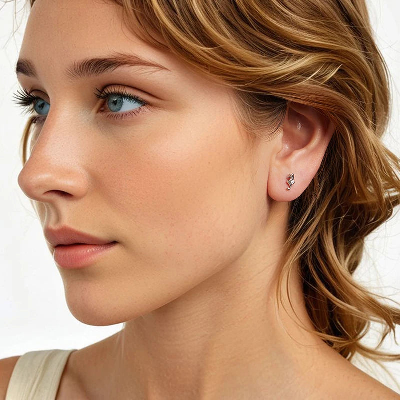 Boucles d'Oreilles Puces Hippocampe en Argent 925