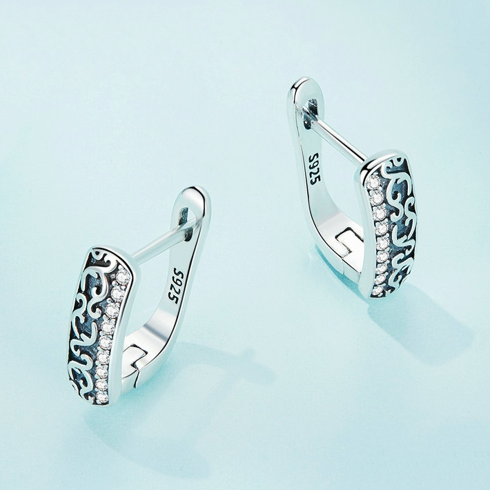 Boucles d'Oreilles