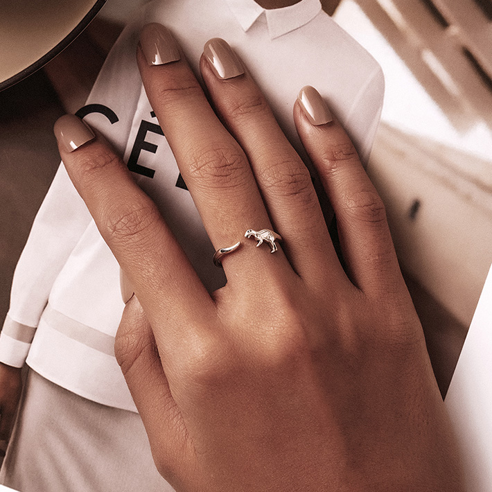 Bague dinosaure argent
