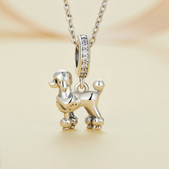 Charm